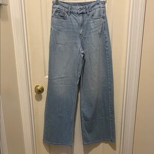 American Eagle Curvy Wide-Leg Jeans